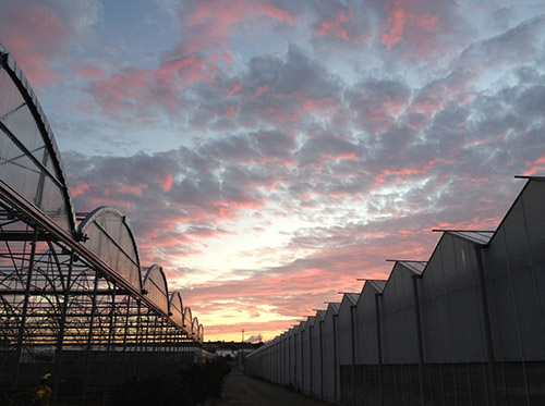 azienda